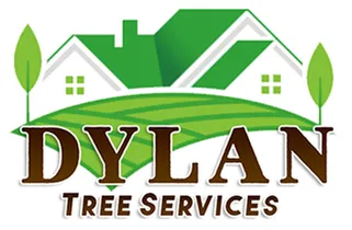 Affordable lawn care service for year-round maintenance across Little Rock, AR - Dylan Tree Service