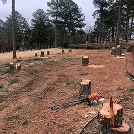 Local lawn mowing service experts serving Little Rock, AR - Dylan Tree Service