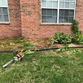 Reliable yard maintenance in Little Rock, AR by Dylan Tree Service