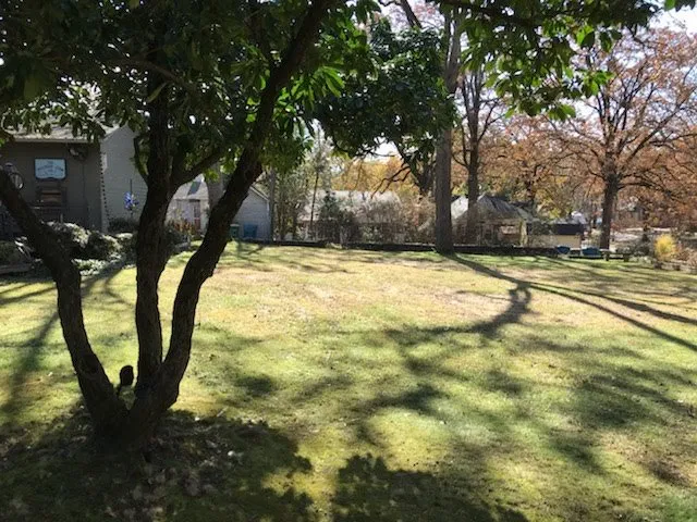 Expert landscape design near you across Little Rock, AR - Dylan Tree Services