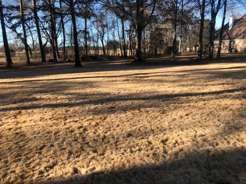 Trusted residential landscaping near you in Little Rock, AR by Dylan Tree Services