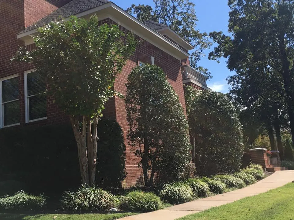 Custom landscape design in Little Rock, AR - Dylan Tree Services