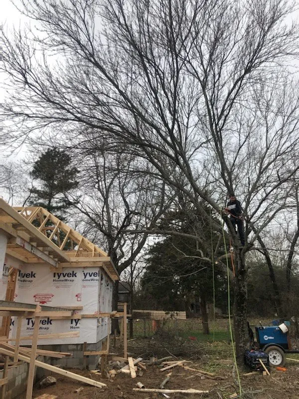 Top-rated lawn mowing service for homes across Little Rock, AR - Dylan Tree Services