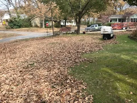 Local landscape design experts serving Little Rock, AR - Dylan Tree Services