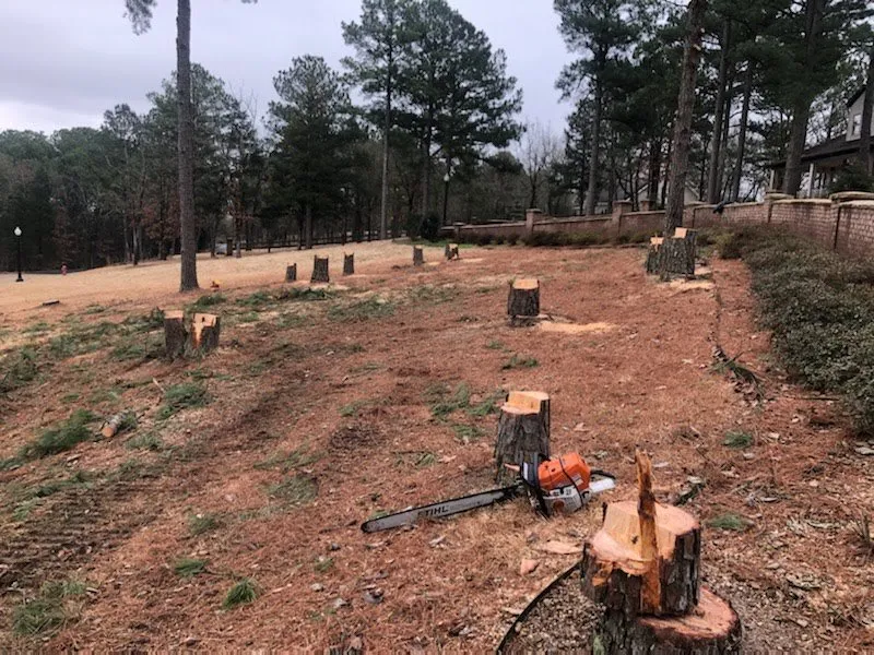 Professional landscape installation for outdoor upgrades across Little Rock, AR - Dylan Tree Services