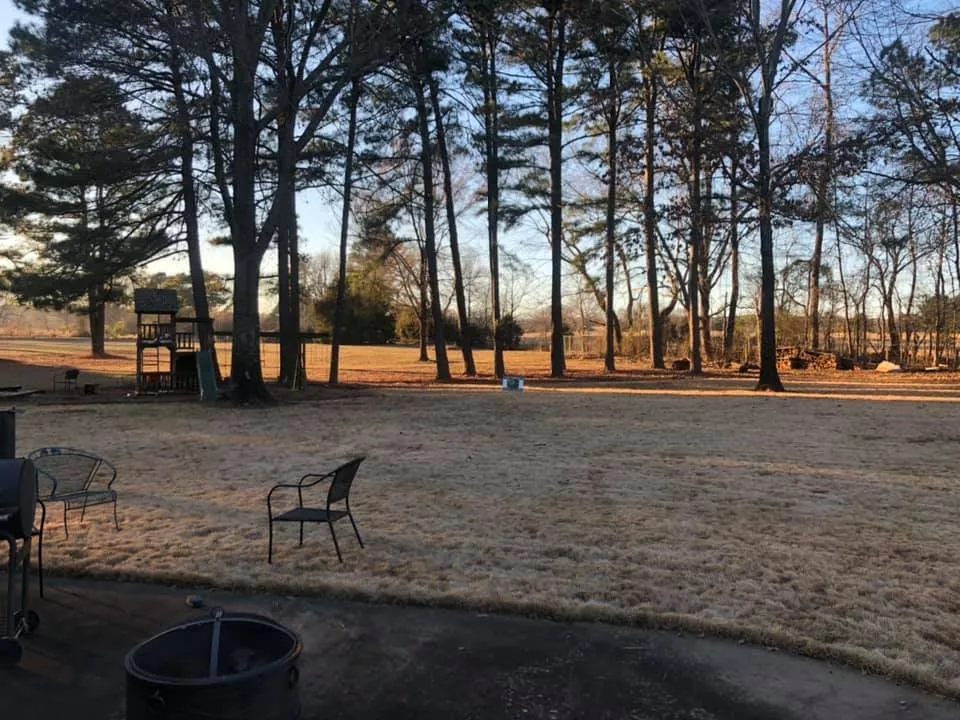 Local outdoor landscaping in Little Rock, AR - Dylan Tree Services