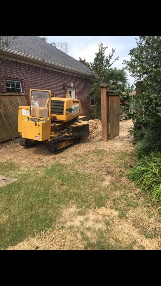 Custom landscaping services near you in Little Rock, AR by Dylan Tree Services