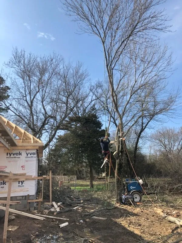 Reliable outdoor landscaping experts serving Little Rock, AR - Dylan Tree Services