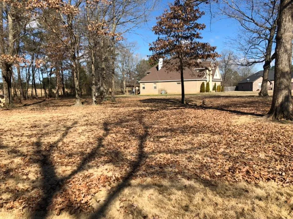 Expert landscape design for outdoor upgrades across Little Rock, AR - Dylan Tree Services