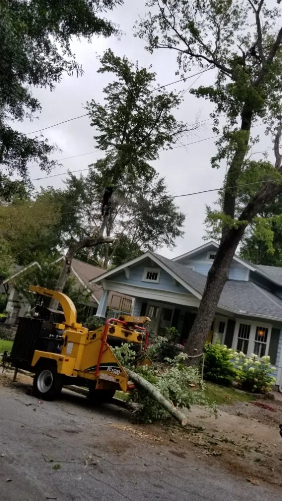 Affordable lawn care service in Norcross, GA - Dyland Tree Work