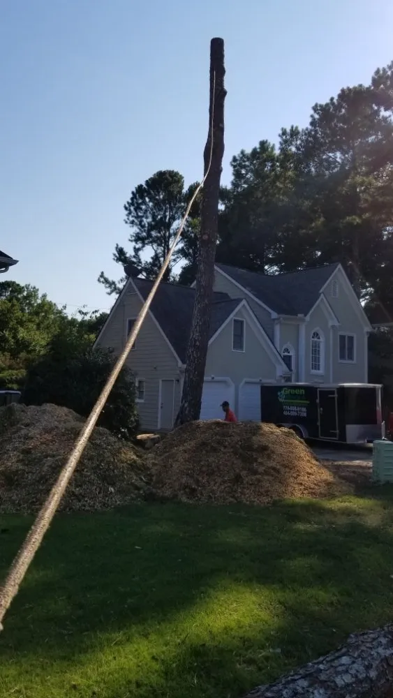 Local garden landscaping for year-round maintenance in Norcross, GA by Dyland Tree Work