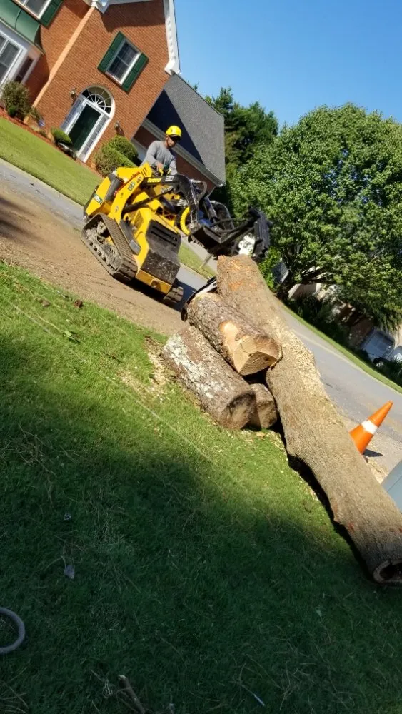 Trusted landscape installation experts serving Norcross, GA - Dyland Tree Work