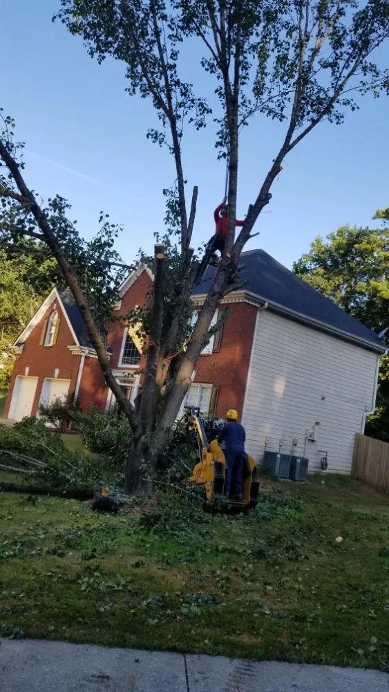 Local lawn mowing service in Norcross, GA by Dyland Tree Work