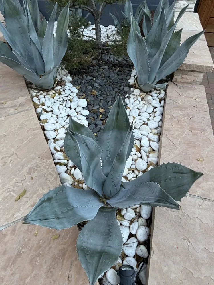 Affordable landscaping services in Sedona, AZ - Dyland’s Landscaping