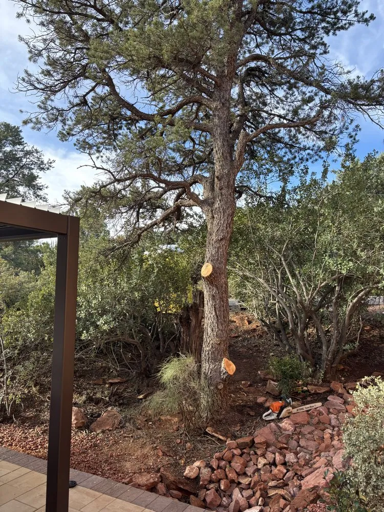 Expert landscape design in Sedona, AZ by Dyland’s Landscaping