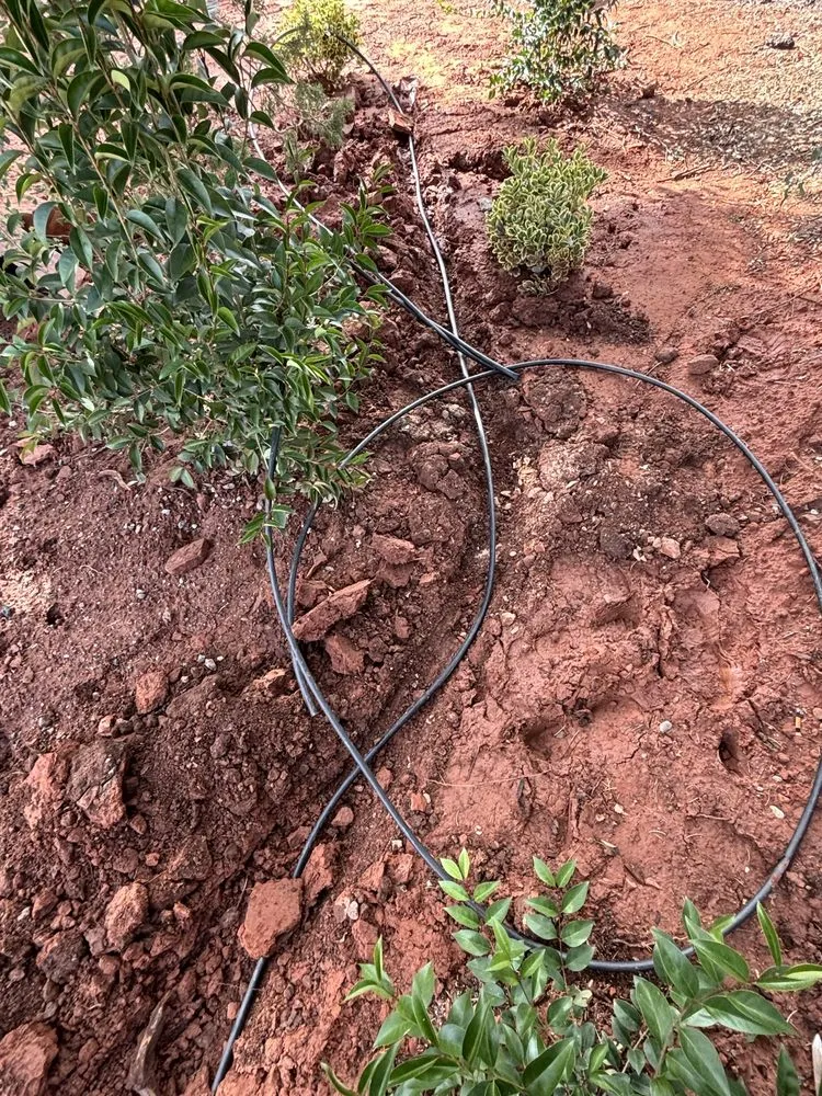 Reliable outdoor landscaping for year-round maintenance across Sedona, AZ - Dyland’s Landscaping