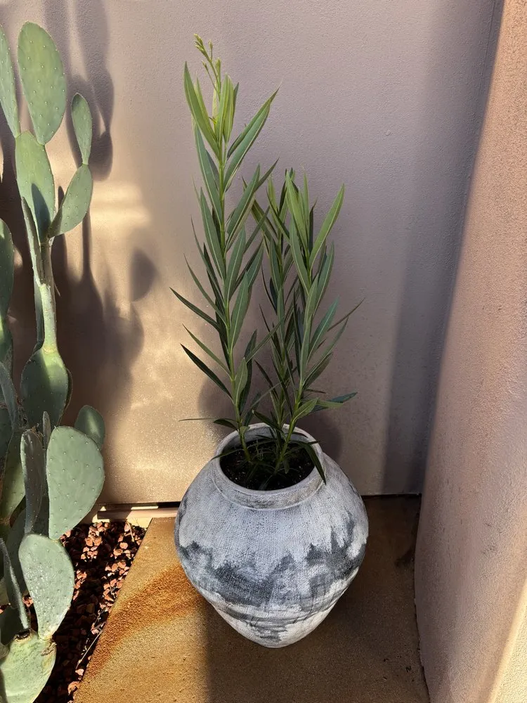 Professional lawn mowing service for residential properties across Sedona, AZ - Dyland’s Landscaping