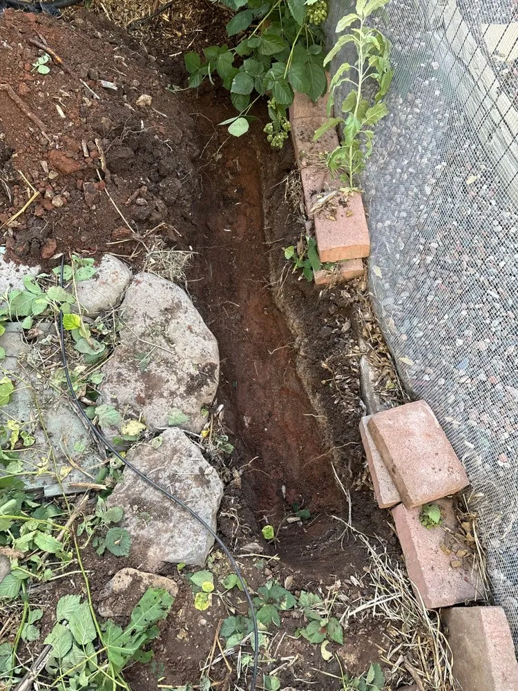 Trusted lawn care service experts serving Sedona, AZ - Dyland’s Landscaping