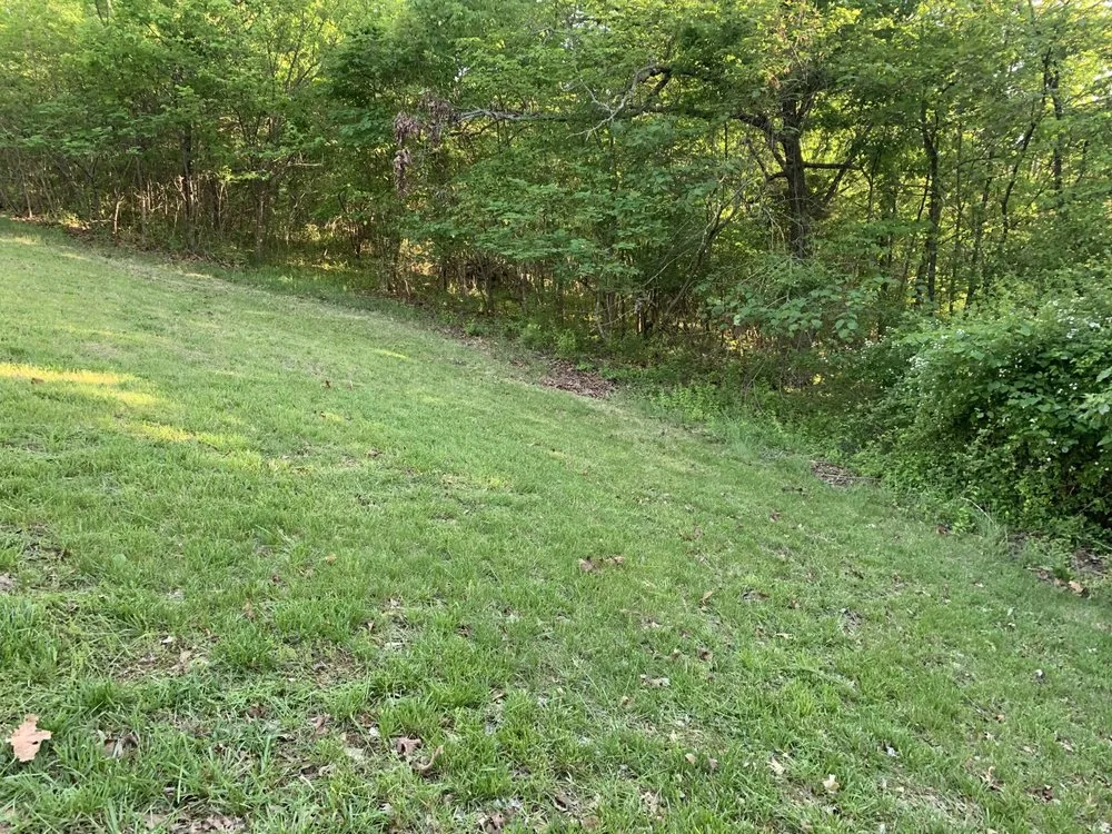 Trusted yard maintenance experts serving Festus, MO - Dylan’s