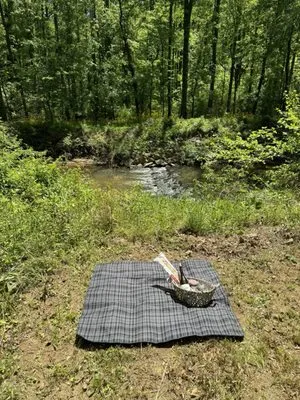 Dylan’s Landscaping Company Logo