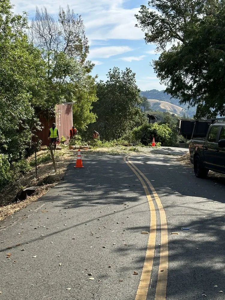 Expert outdoor landscaping experts serving Pittsburg, CA - Dylan’s Landscaping