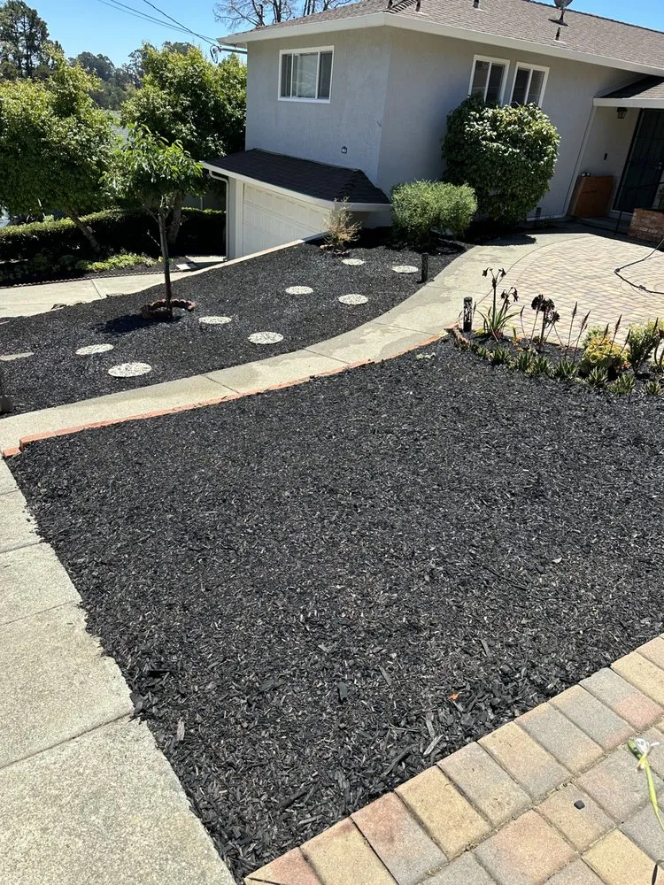 Affordable yard cleanup service in Pittsburg, CA - Dylan’s Landscaping