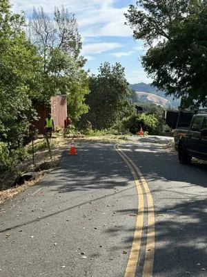 Dylan’s Landscaping Logo