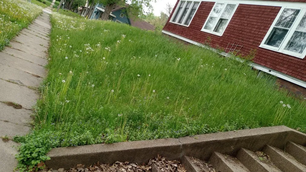 Reliable lawn care service for homes across Atlantic, IA - Dylan's Lawn and Landscape services