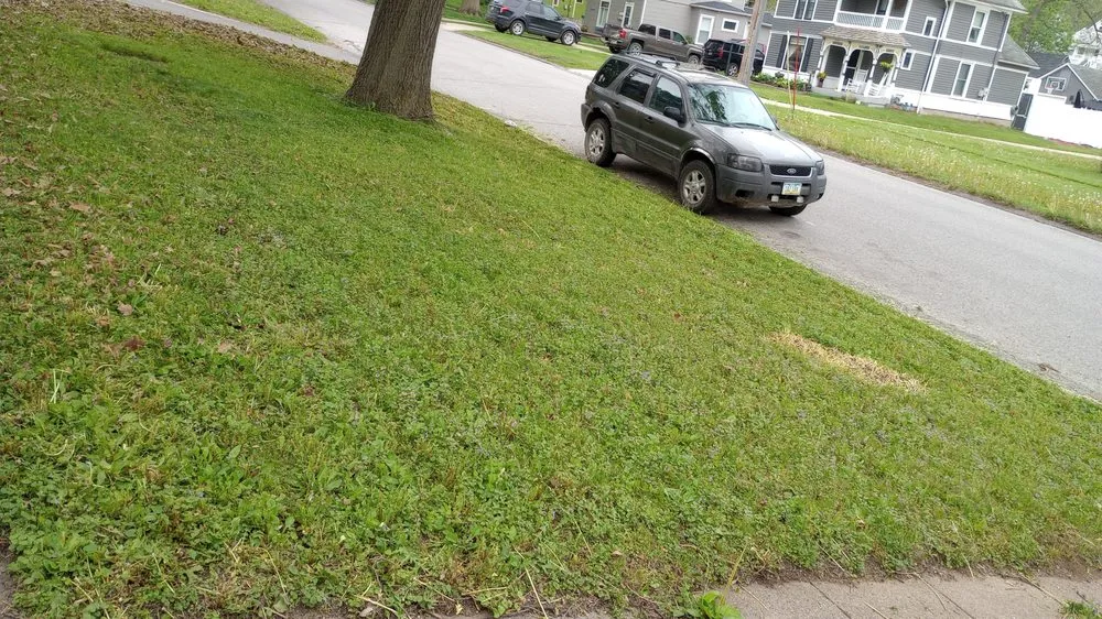 Local landscape design in Atlantic, IA by Dylan's Lawn and Landscape services