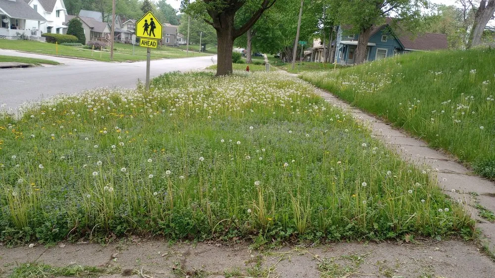 Top-rated landscape design experts serving Atlantic, IA - Dylan's Lawn and Landscape services