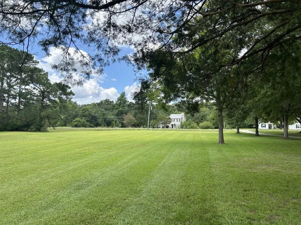 Top-rated yard cleanup service in Dothan, AL - Dylan’s Lawn and Landscaping