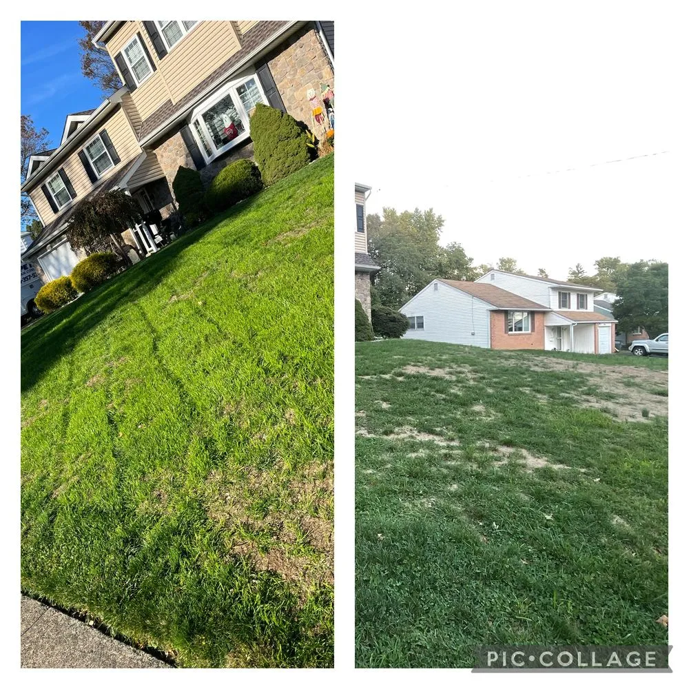 Top-rated yard maintenance in Southampton, PA by dylan’s lawn service