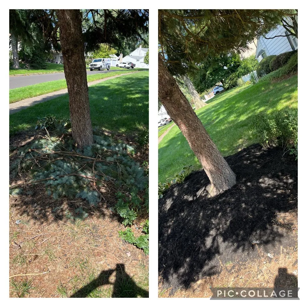 Top-rated lawn care service for year-round maintenance in Southampton, PA by dylan’s lawn service