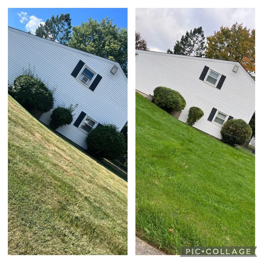 Local residential landscaping with custom design in Southampton, PA by dylan’s lawn service