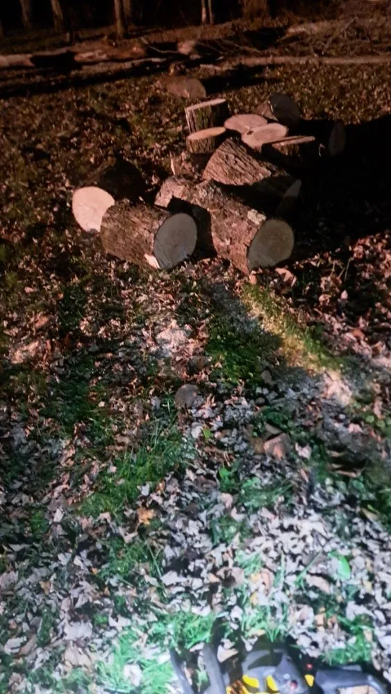 Affordable landscaping services with custom design across Minoa, NY - Dylan's Mowing