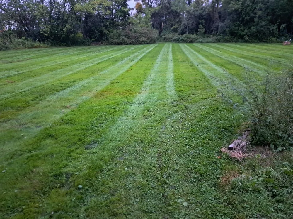 Local landscaping services near you in Minoa, NY by Dylan's Mowing