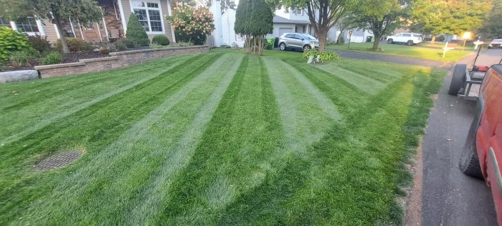 Reliable landscape design in Minoa, NY - Dylan's Mowing