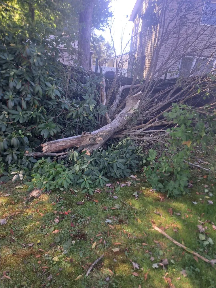 Top-rated landscaping services for homes across Minoa, NY - Dylan's Mowing