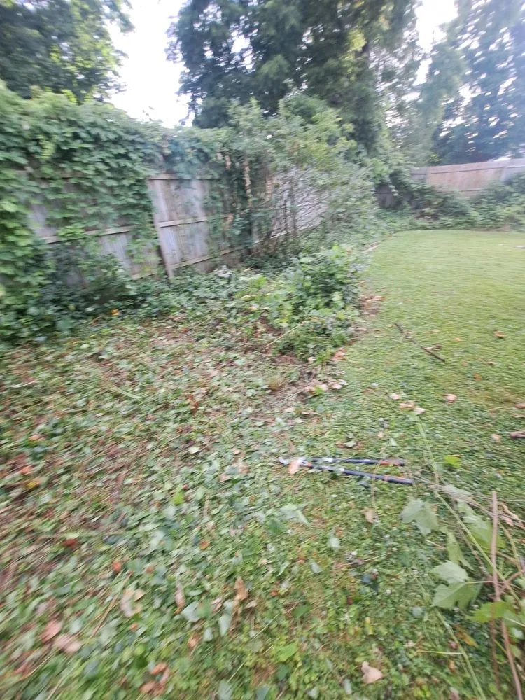 Trusted landscape design in Minoa, NY - Dylan's Mowing