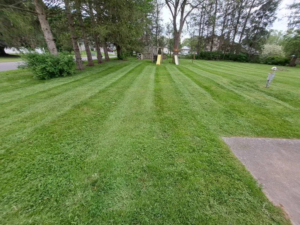 Custom yard cleanup service in Minoa, NY by Dylan's Mowing