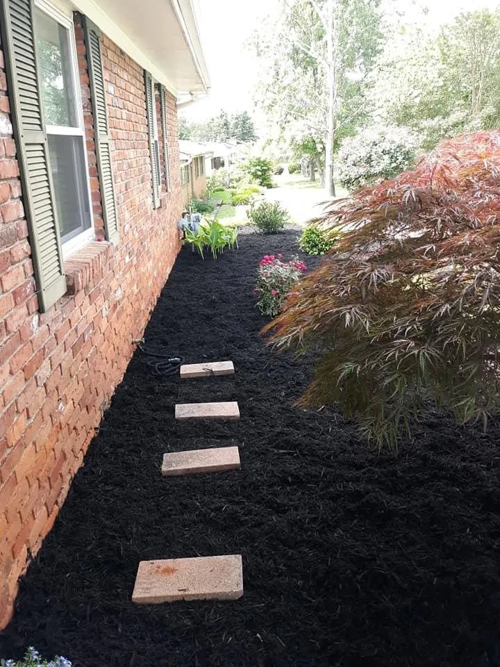 Expert lawn mowing service in Knoxville, TN - Dylan’s Mowing Services