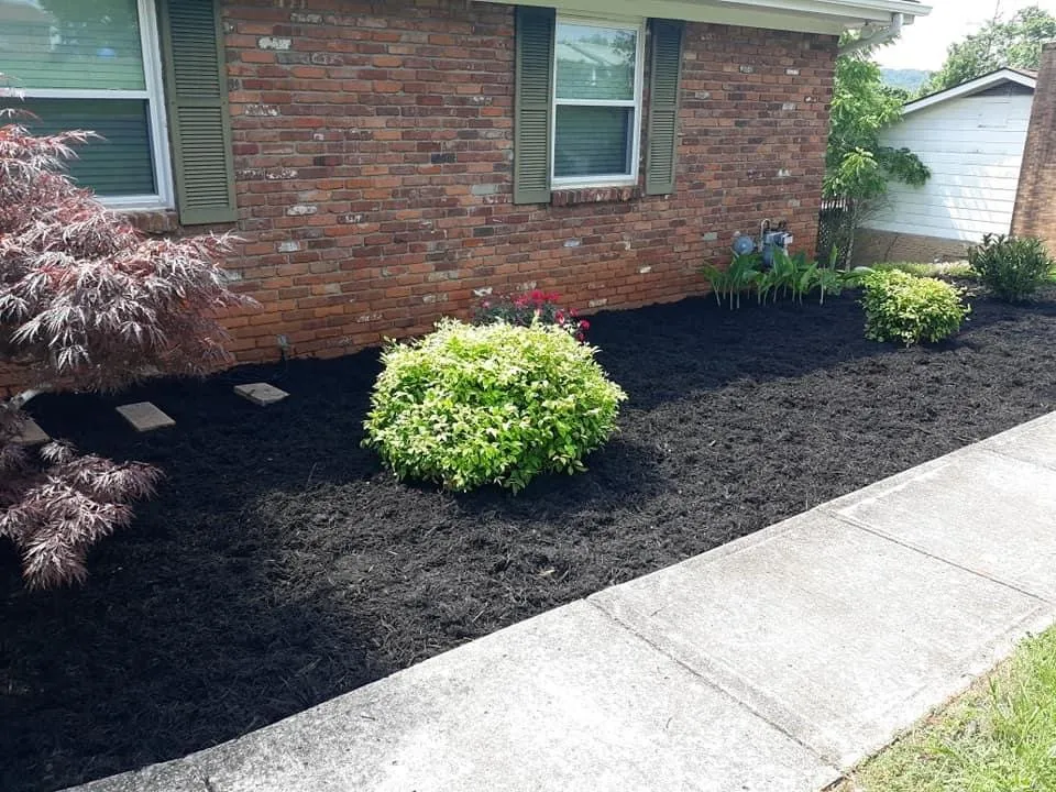 Trusted landscaping services near you across Knoxville, TN - Dylan’s Mowing Services