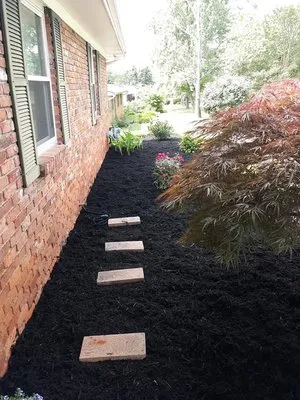 Dylan’s Mowing Services Logo