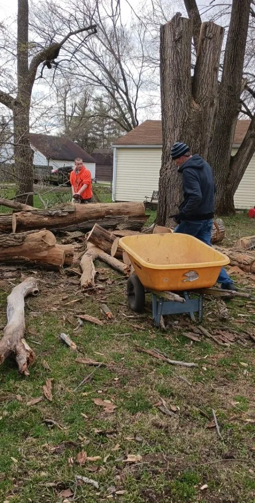 Reliable landscape installation near you across Indianapolis, IN - Dylan's Tree Expert's