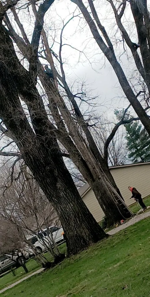 Expert landscape installation in Indianapolis, IN - Dylan's Tree Expert's