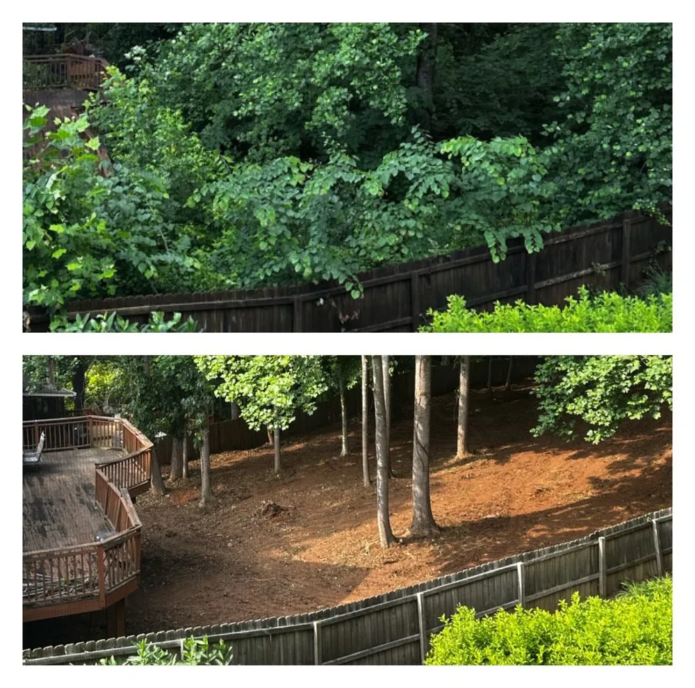 Local yard cleanup service for homes in Austell, GA by Dylan's Tree Services & Landscaping