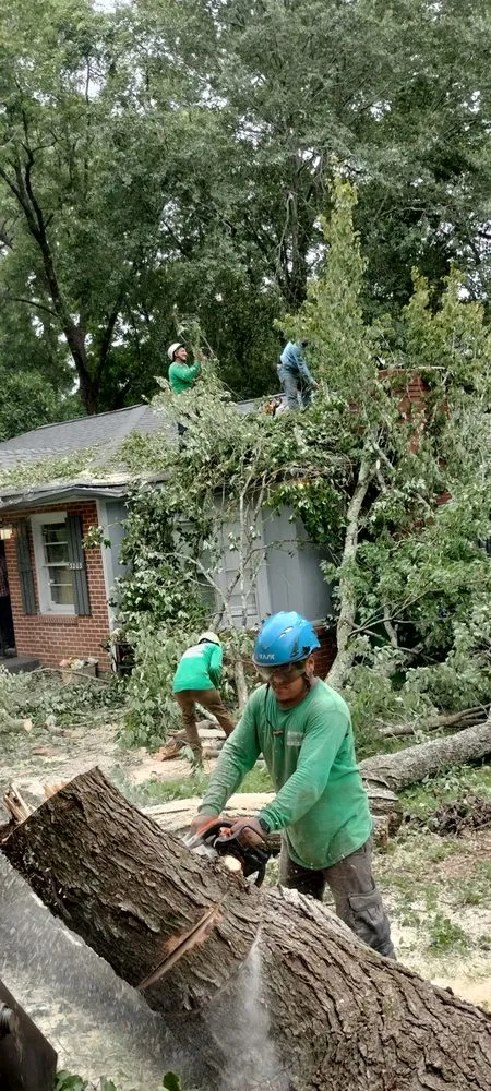 Custom landscaping services for beautiful yards in Austell, GA by Dylan's Tree Services & Landscaping