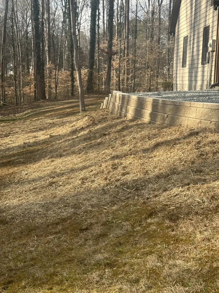 Reliable outdoor landscaping for year-round maintenance across Austell, GA - Dylan's Tree Services & Landscaping