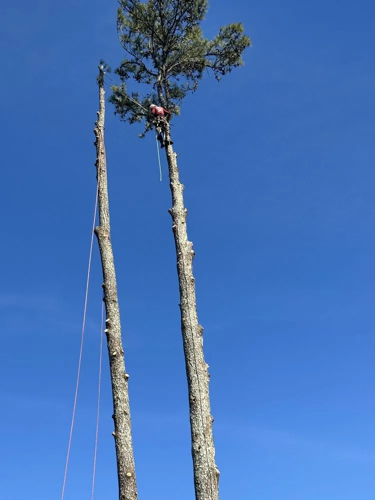 Reliable yard cleanup service for outdoor upgrades across Austell, GA - Dylan's Tree Services & Landscaping