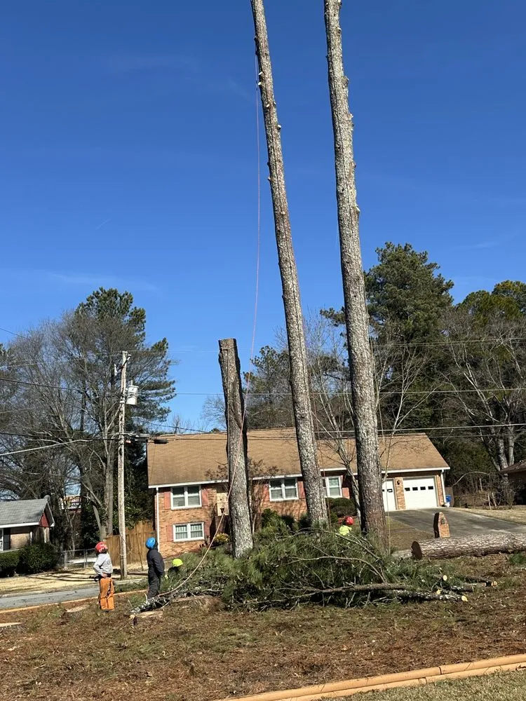 Local residential landscaping experts serving Austell, GA - Dylan's Tree Services & Landscaping